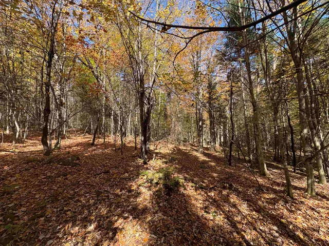 $39,900 | 0 Baird Road, West Burke, VT 05871