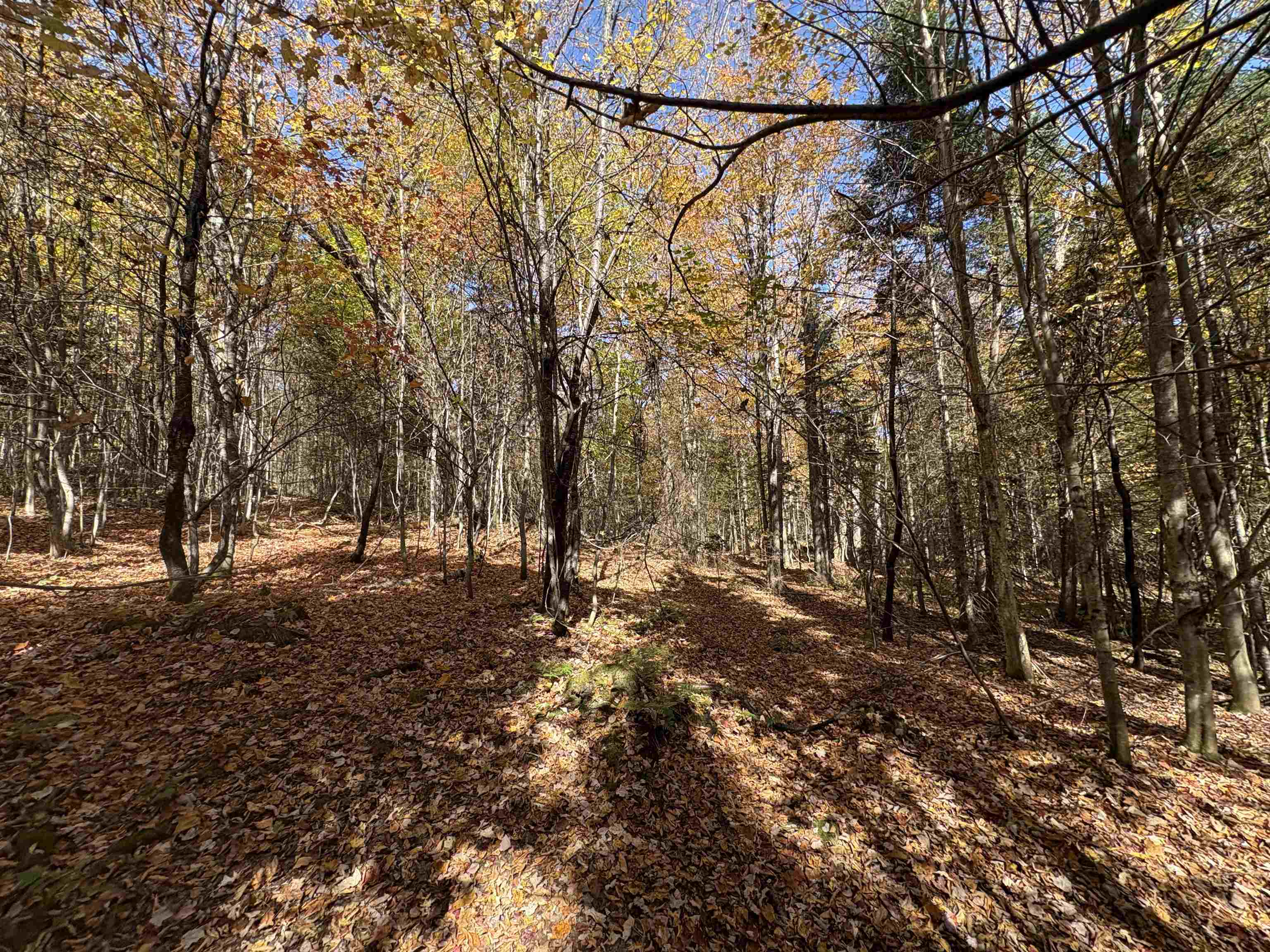 0 Baird Road West Burke, VT 05871 - Photo 10 of 21