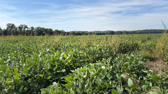 $1 | 0 East 100th Road, Worthington, IN 47471