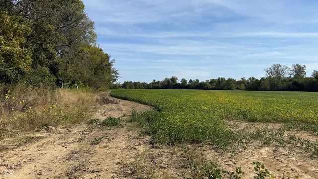 $1 | 0 East 100th Road, Worthington, IN 47471