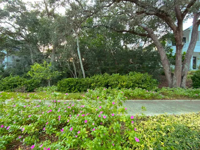 a view of a garden with plants and large trees