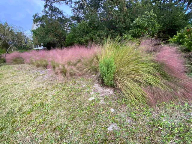 a view of a lake with a tree