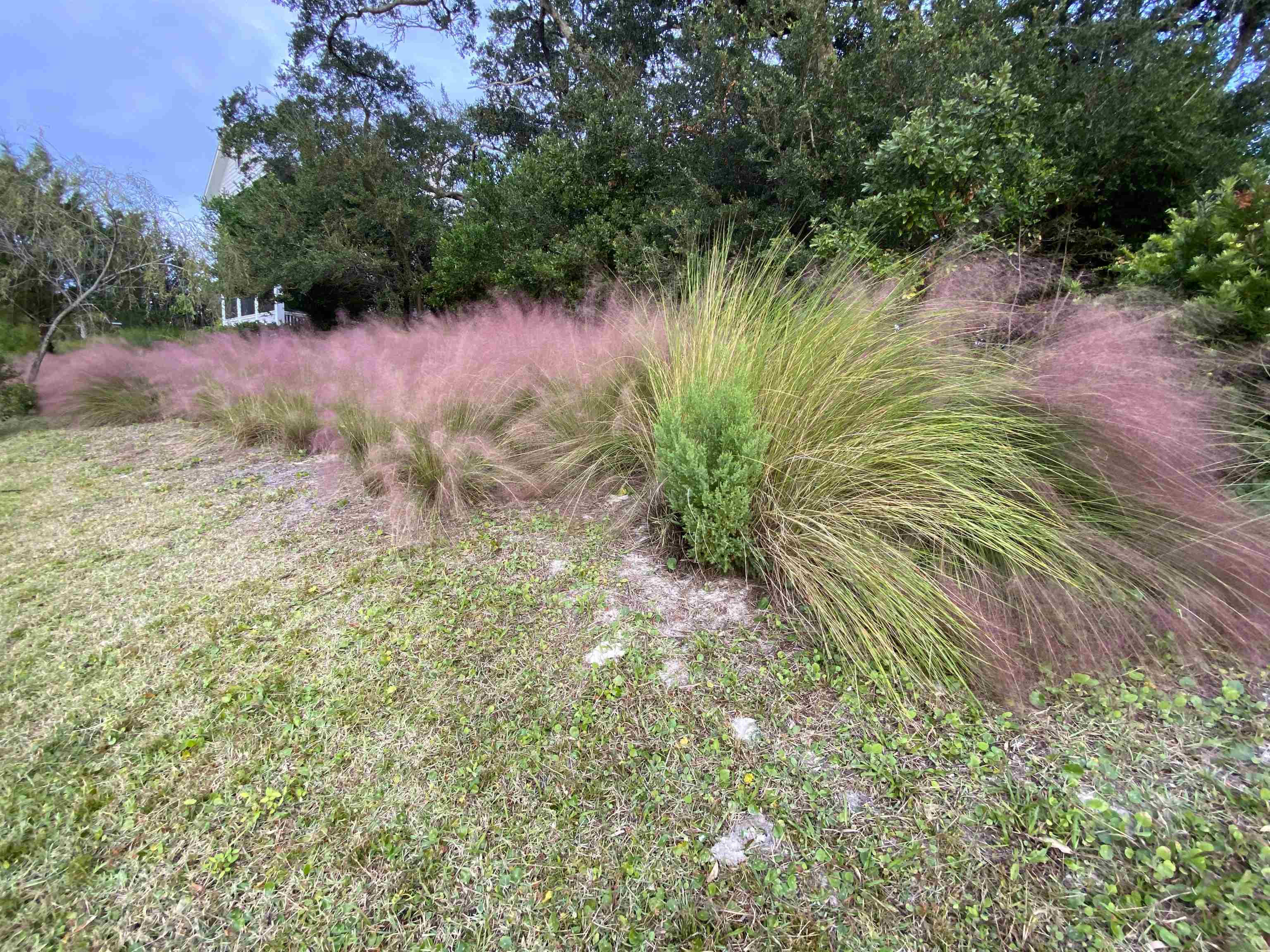 489 Ridgeway Road St. Augustine, FL 32080 - Photo 8 of 20 a view of a lake with a tree