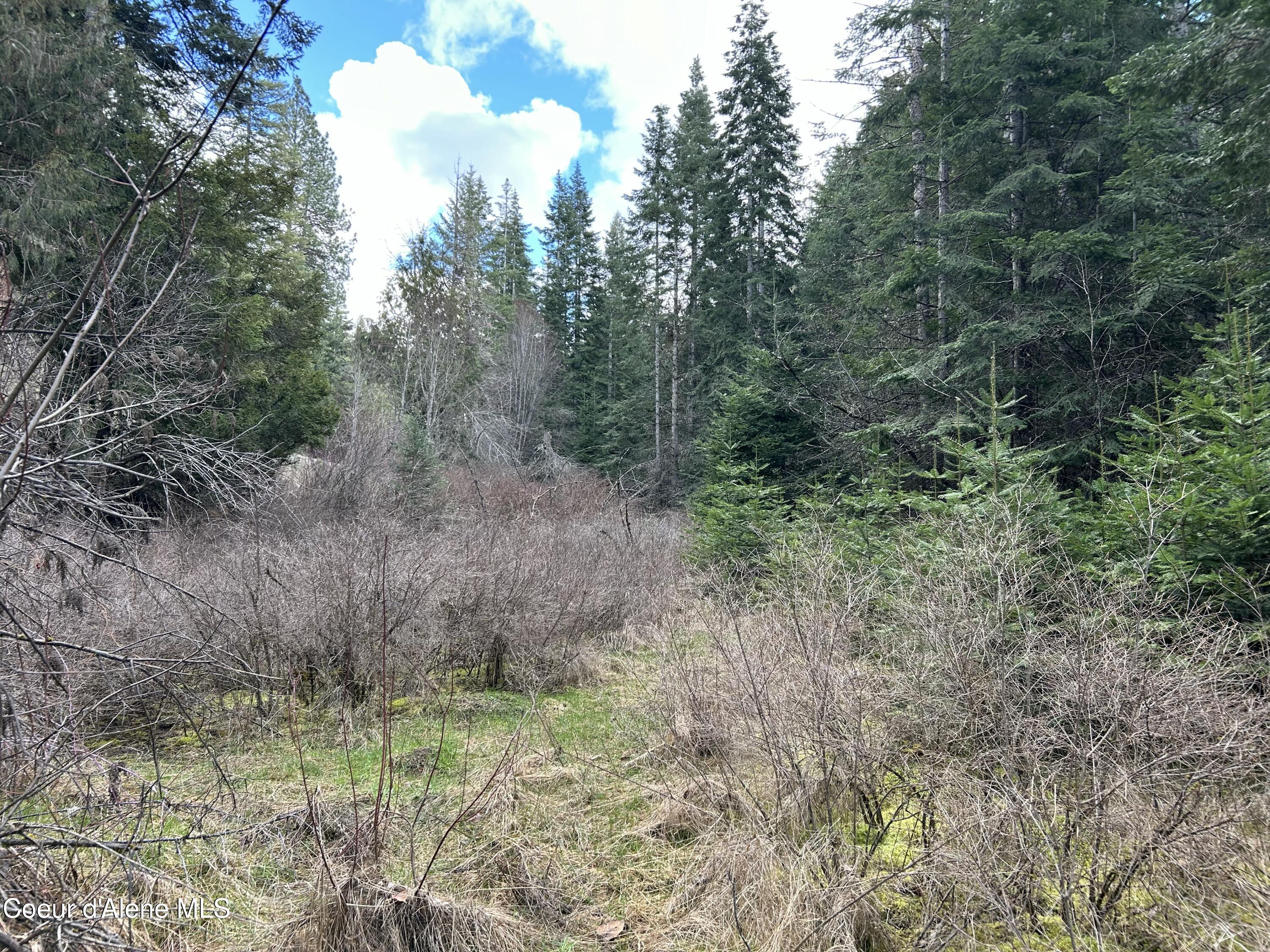 Nna East Bell Canyon Road Harrison, ID 83833 - Photo 20 of 22 Building Site?