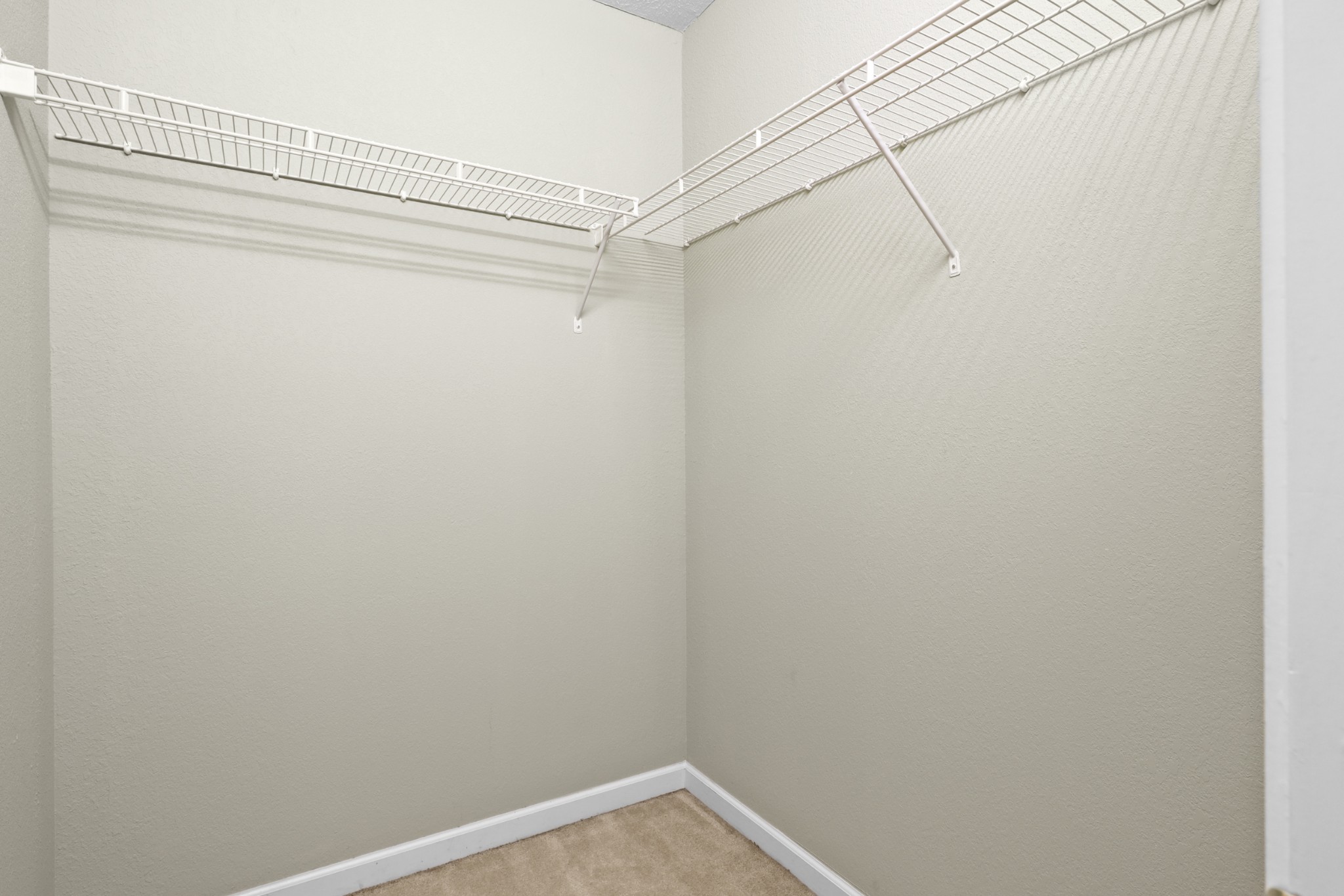 245 Shoshone Place Murfreesboro, TN 37128 - Photo 10 of 23 a view of a room with racks on the wall
