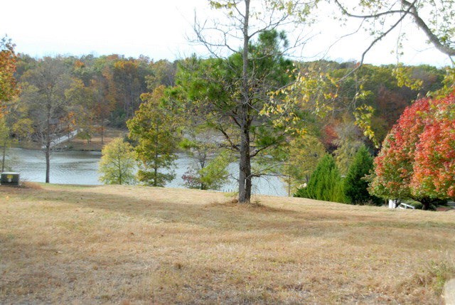 Lot 3 Ridgewood Harbor Road Waterloo, SC 29384 - Photo 2 of 5