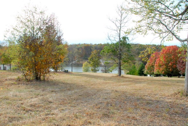 Lot 3 Ridgewood Harbor Road Waterloo, SC 29384 - Photo 3 of 5