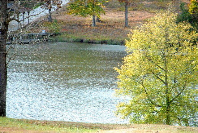 Lot 3 Ridgewood Harbor Road Waterloo, SC 29384 - Photo 4 of 5