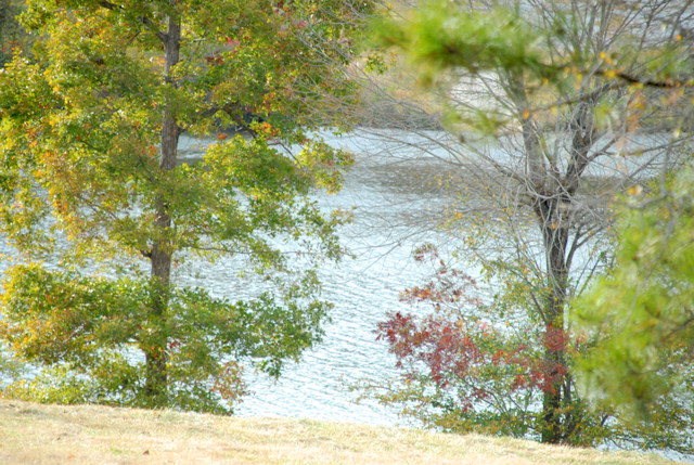 Lot 3 Ridgewood Harbor Road Waterloo, SC 29384 - Photo 5 of 5