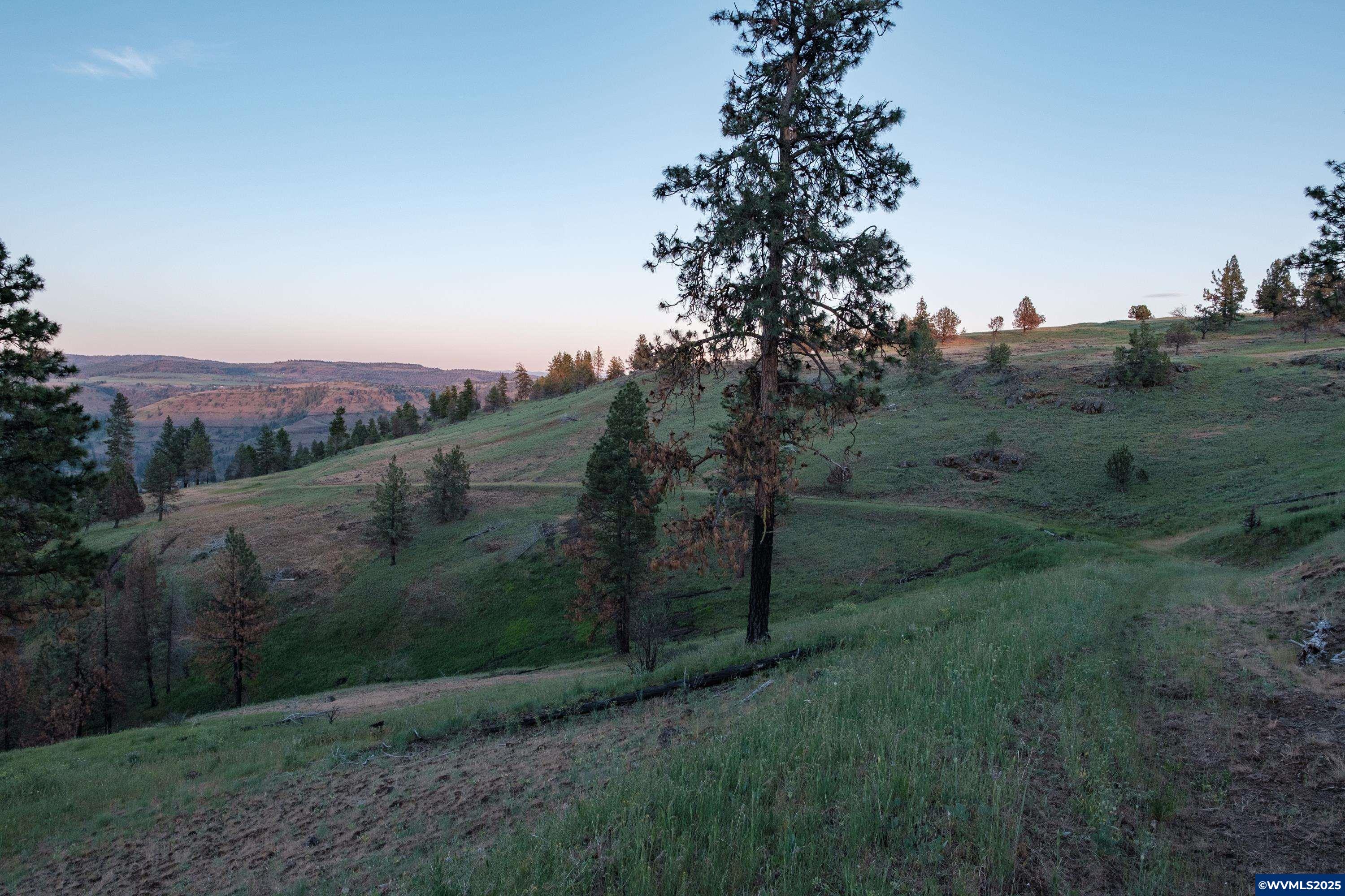 North Fork Road Long Creek, OR 97856 - Photo 26 of 50