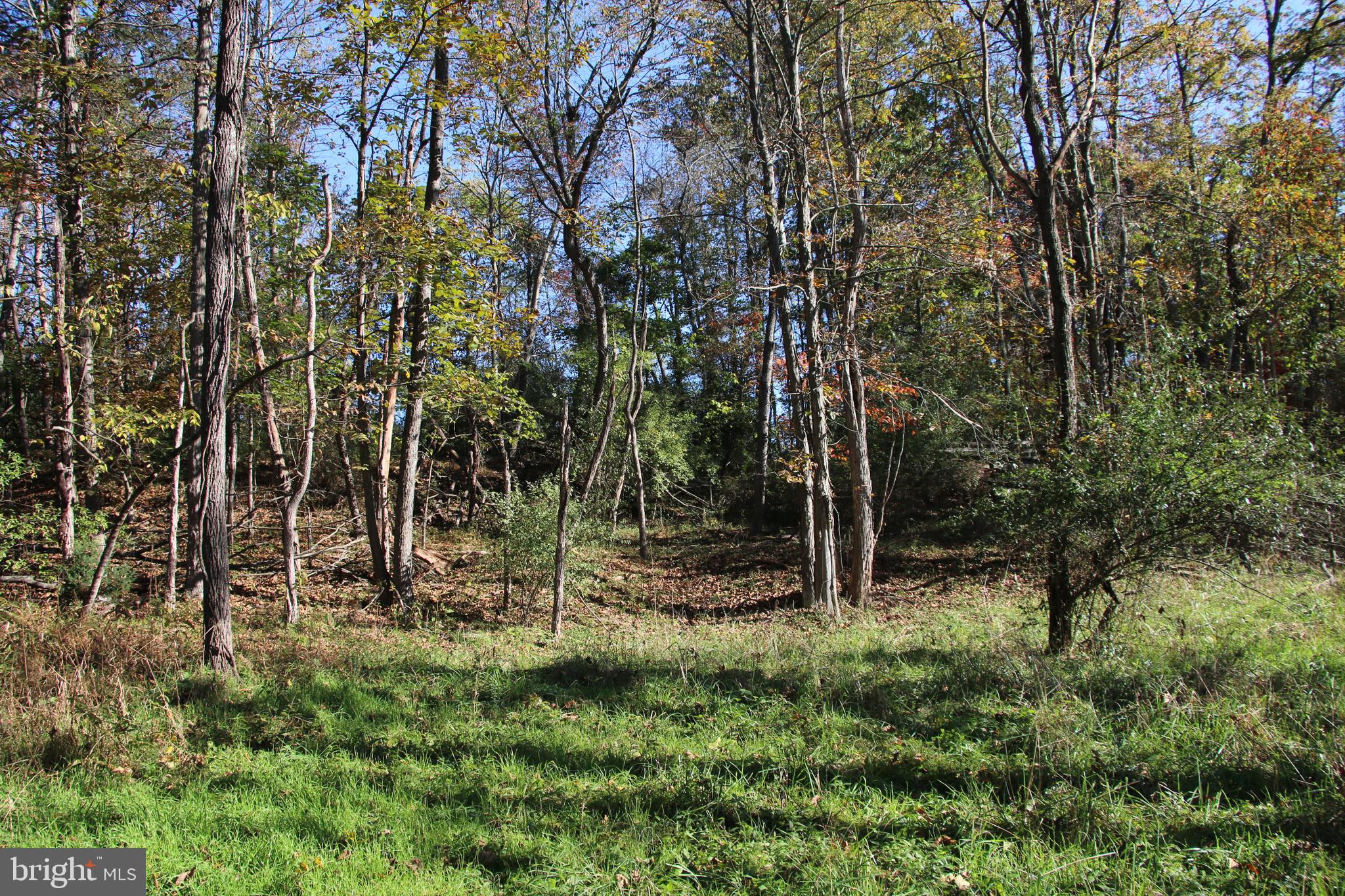 1525 Hollow Road Gore, VA 22637 - Photo 87 of 97