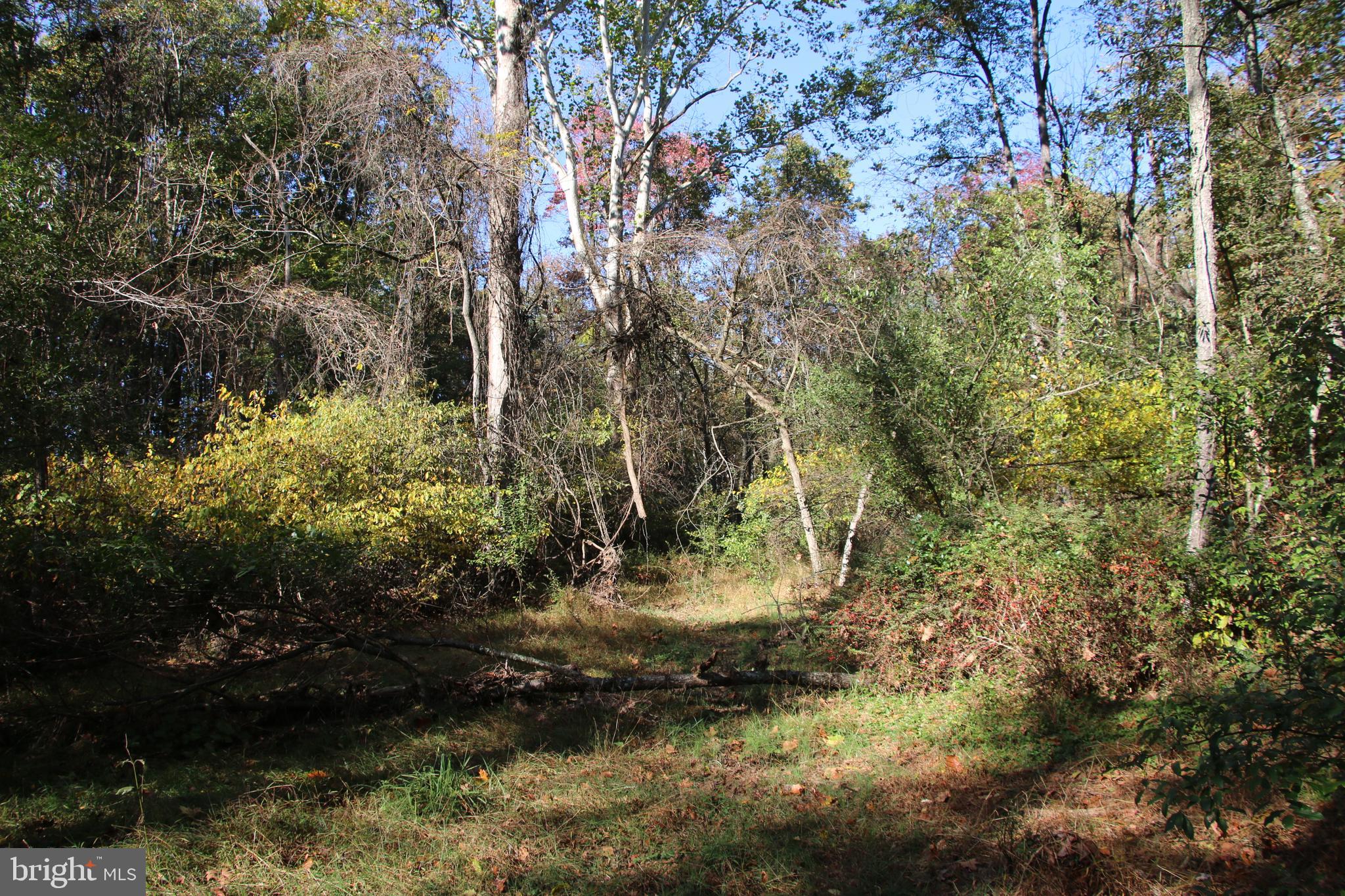 1525 Hollow Road Gore, VA 22637 - Photo 90 of 97