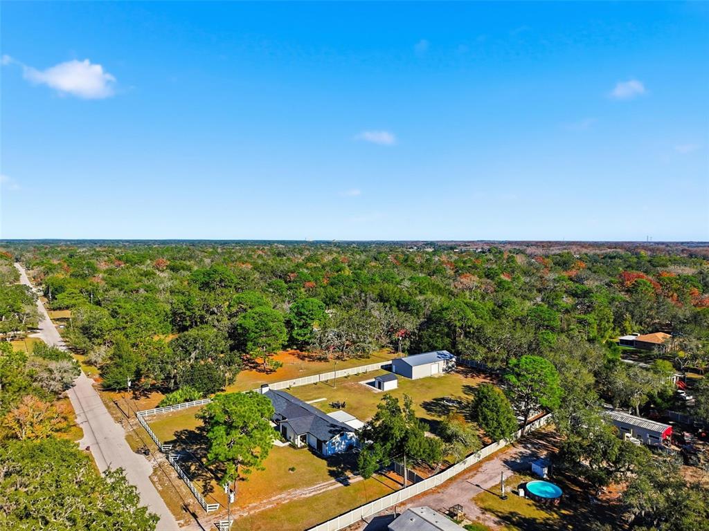 12314 Morgan Road Hudson, FL 34669 - Photo 49 of 63