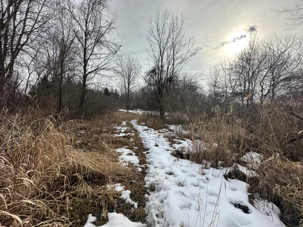 $99,000 | 7231 Onsted Highway, Onsted, MI 49265