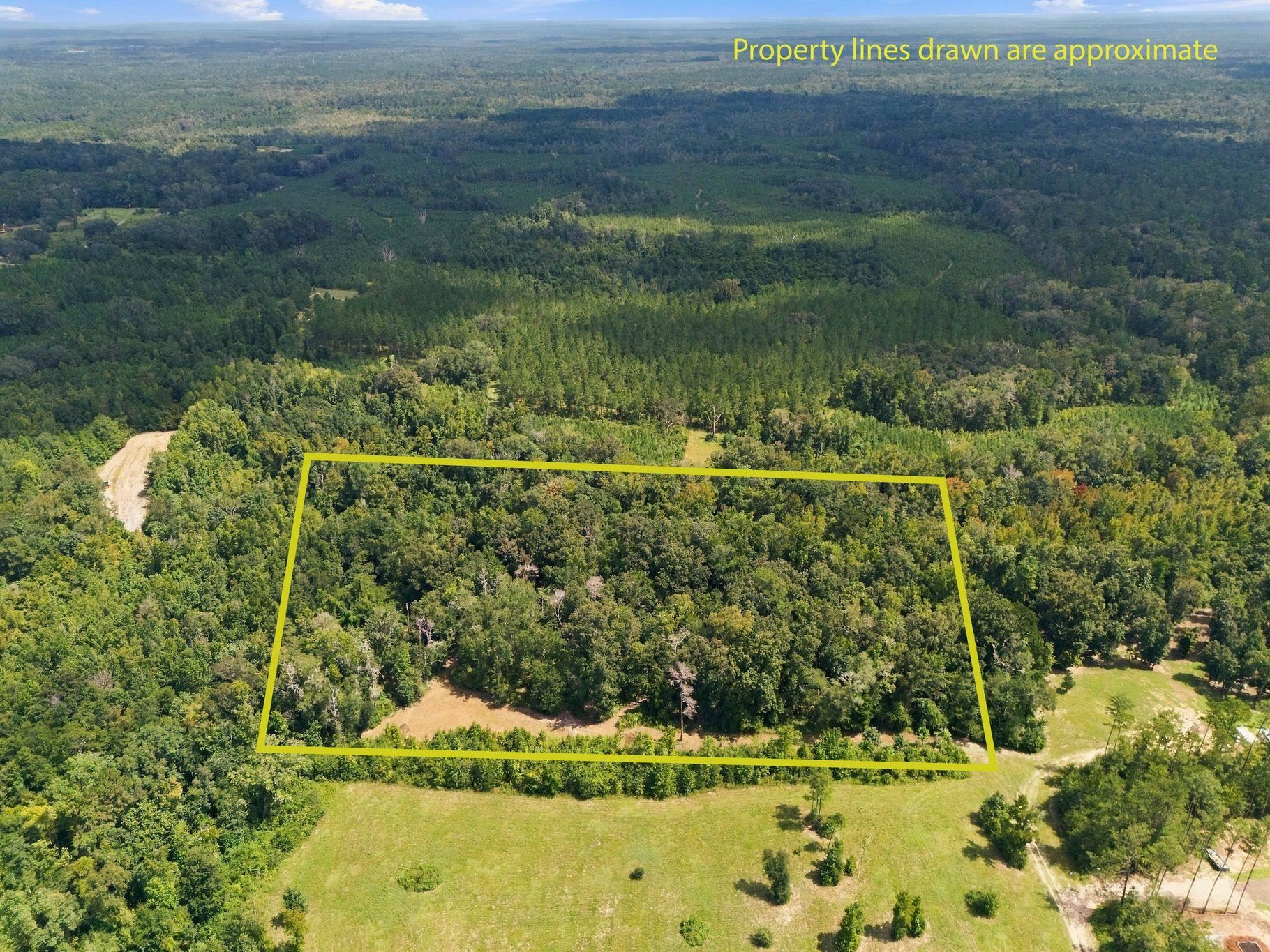 Lot 16 Johnny Road Lamont, FL 32336 - Photo 1 of 54 Gallery Image 1