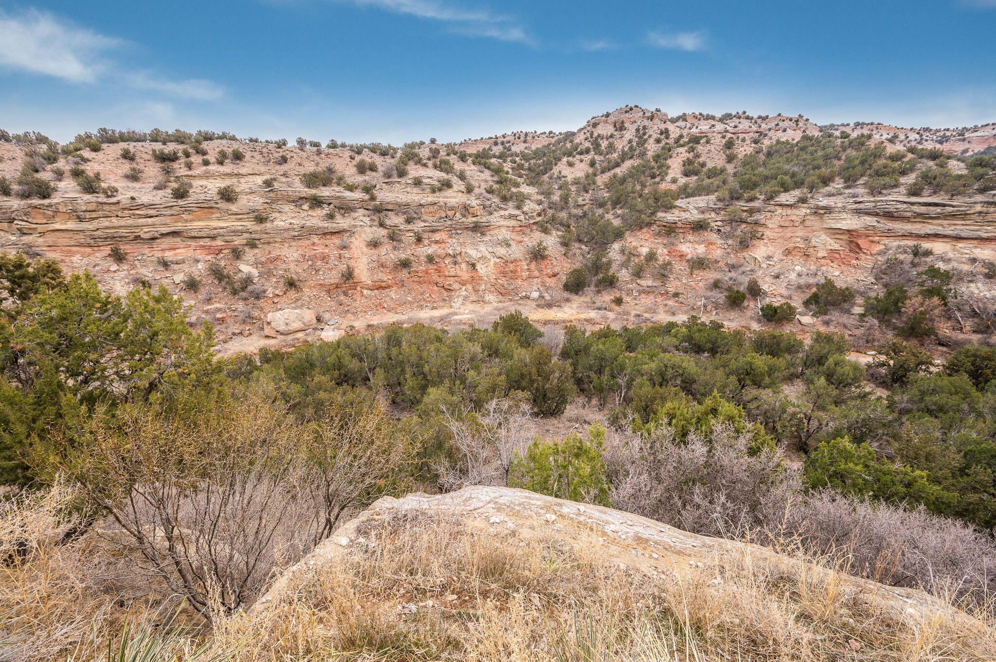 8150 Little Fox Trail Amarillo, TX 79118 - Photo 63 of 69 a view of a large building