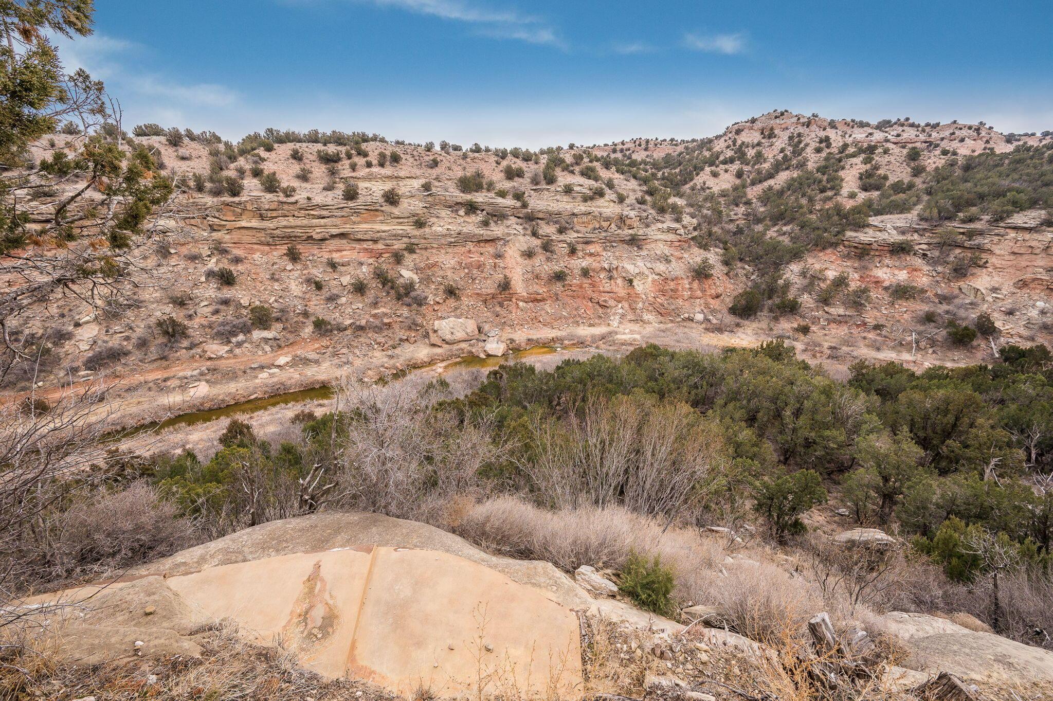 8150 Little Fox Trail Amarillo, TX 79118 - Photo 65 of 69 a view of a dry yard