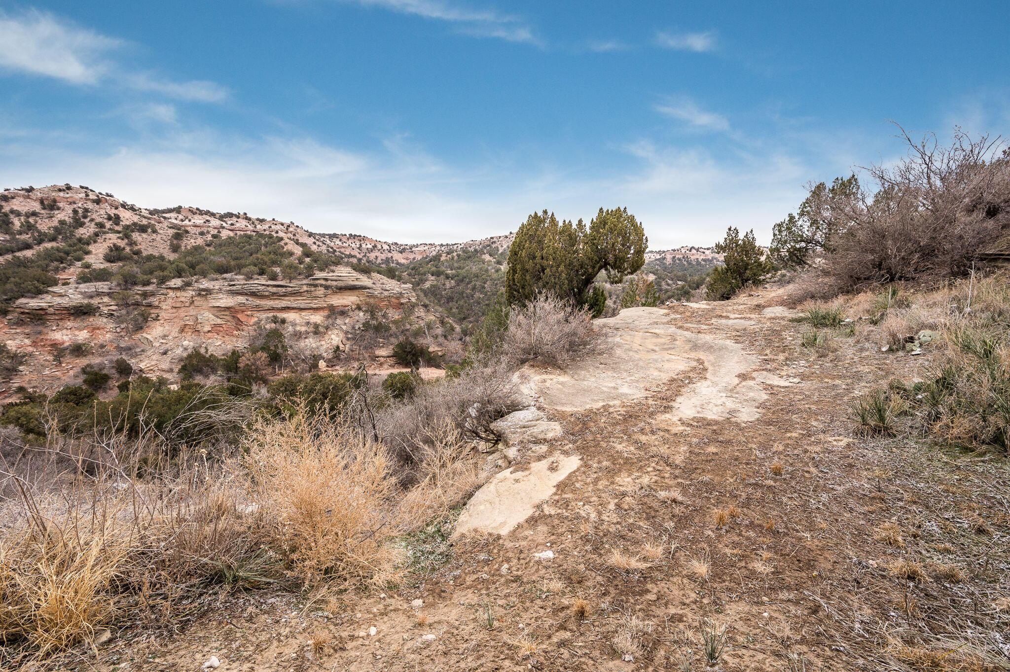 8150 Little Fox Trail Amarillo, TX 79118 - Photo 69 of 69 a view of a dry yard with lots of bushes