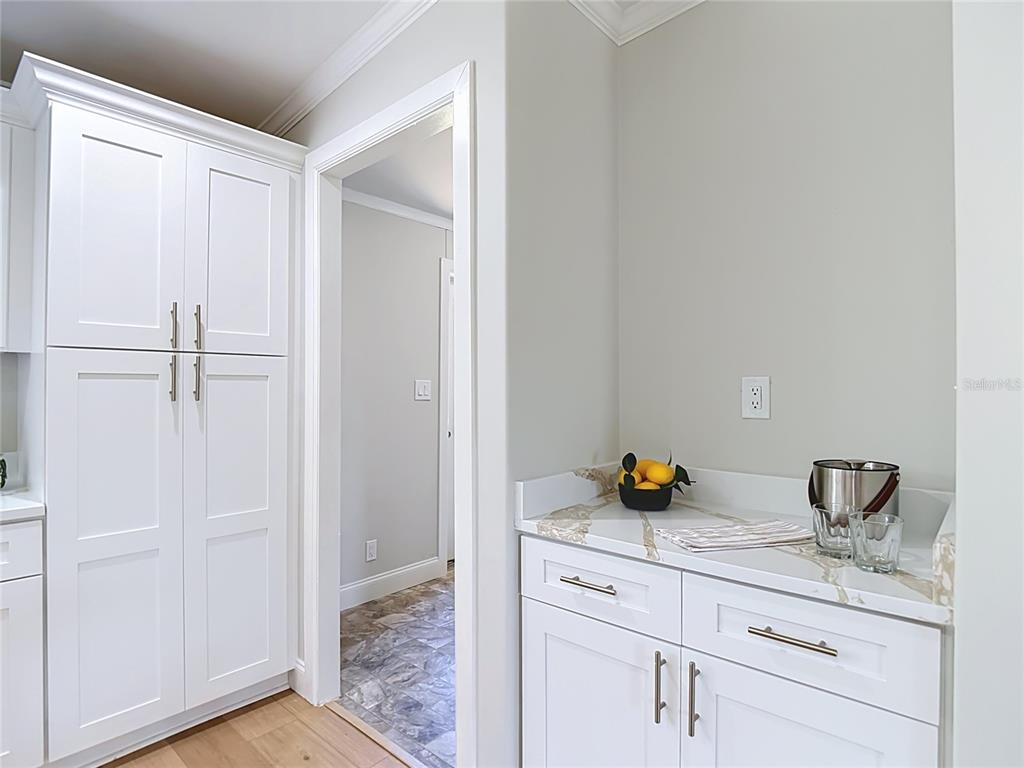 41310 Merrick Road Zephyrhills, FL 33540 - Photo 19 of 41 Gallery Image 19