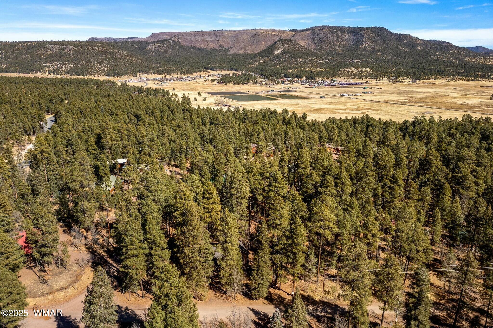 34 2066 Alpine, AZ 85920 - Photo 30 of 41 tempImageZhdcp5