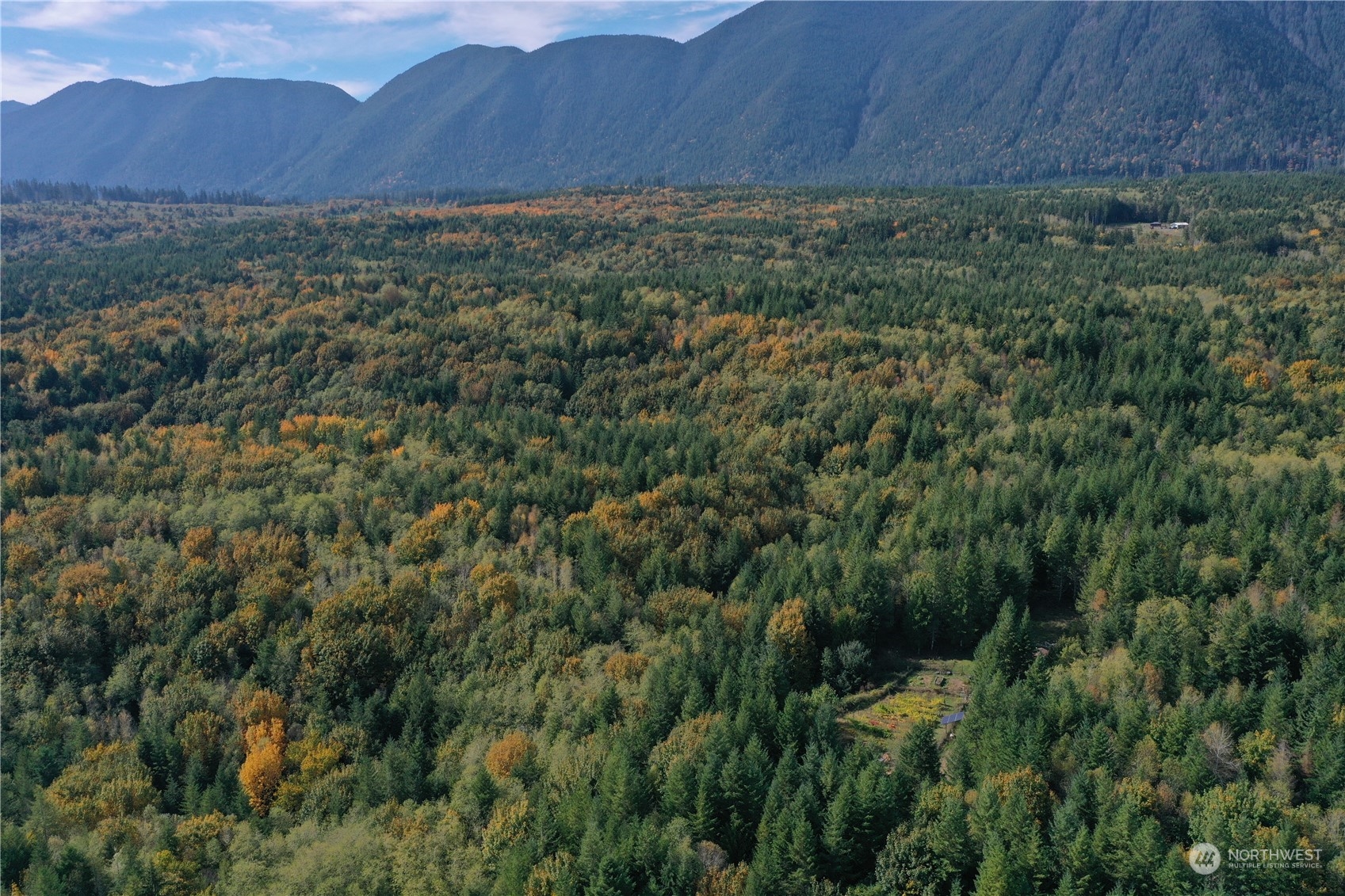 1395 Little Quil Road Quilcene, WA 98376 - Photo 2 of 39 a view of a lush green forest with trees in the background