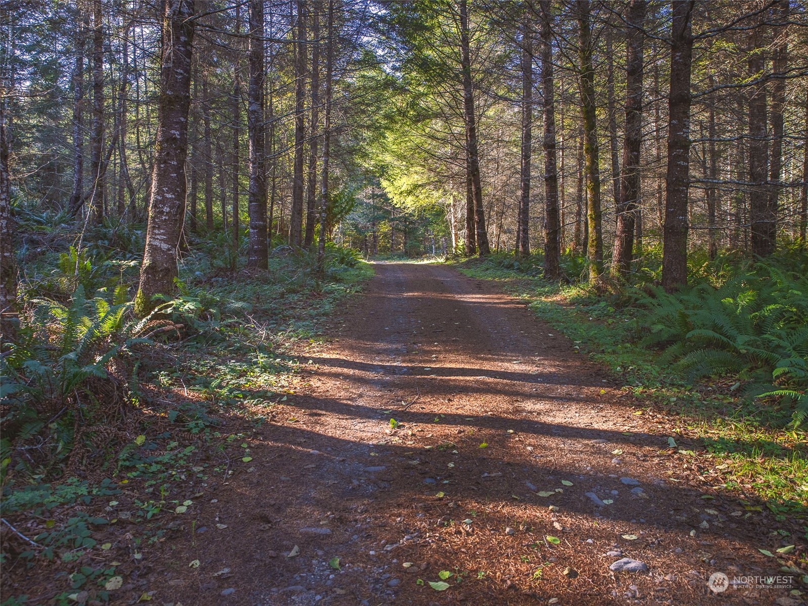 1395 Little Quil Road Quilcene, WA 98376 - Photo 26 of 39 a view of a yard with plants and trees