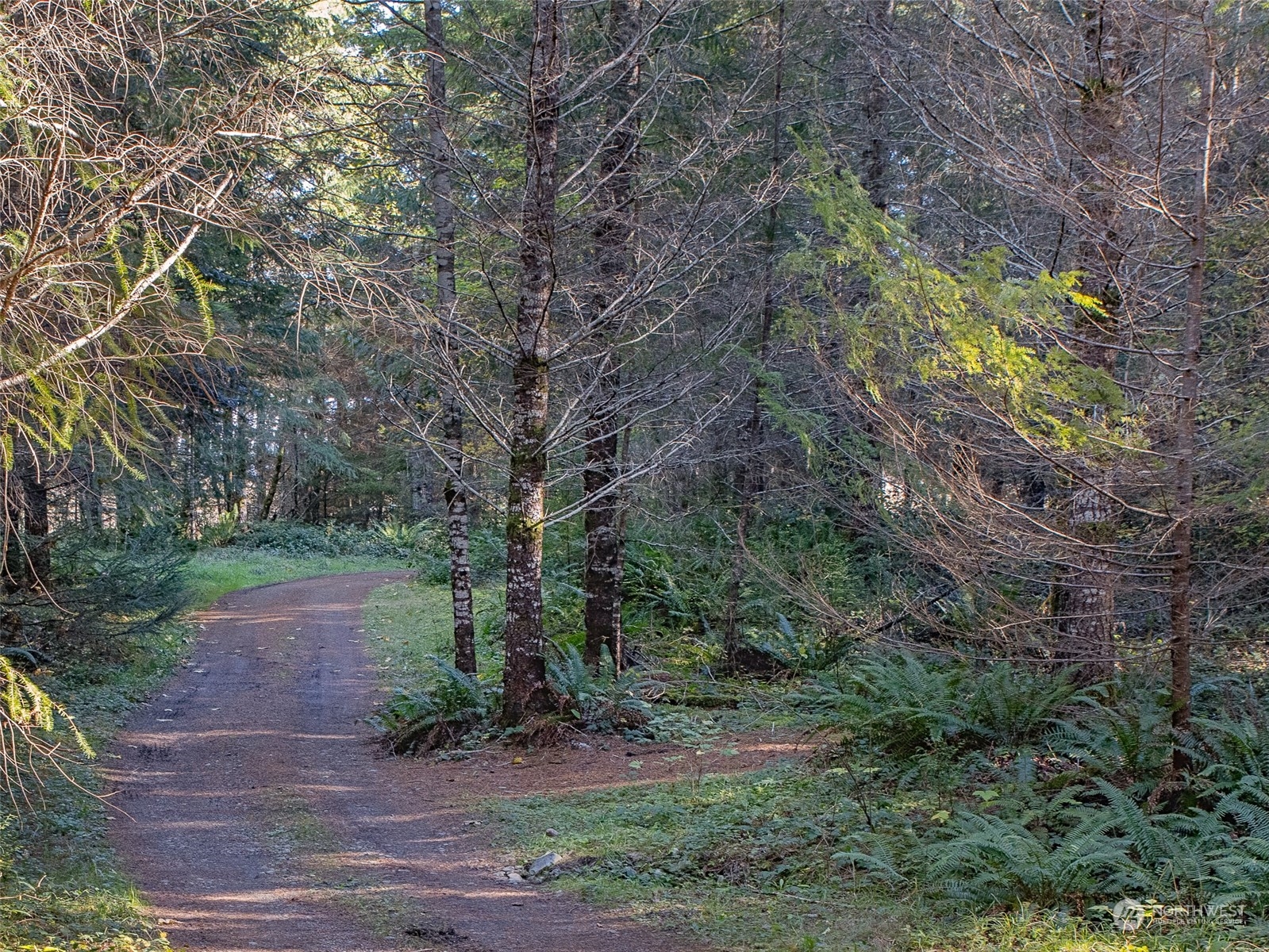 1395 Little Quil Road Quilcene, WA 98376 - Photo 27 of 39 a view of a tree in the middle of a yard