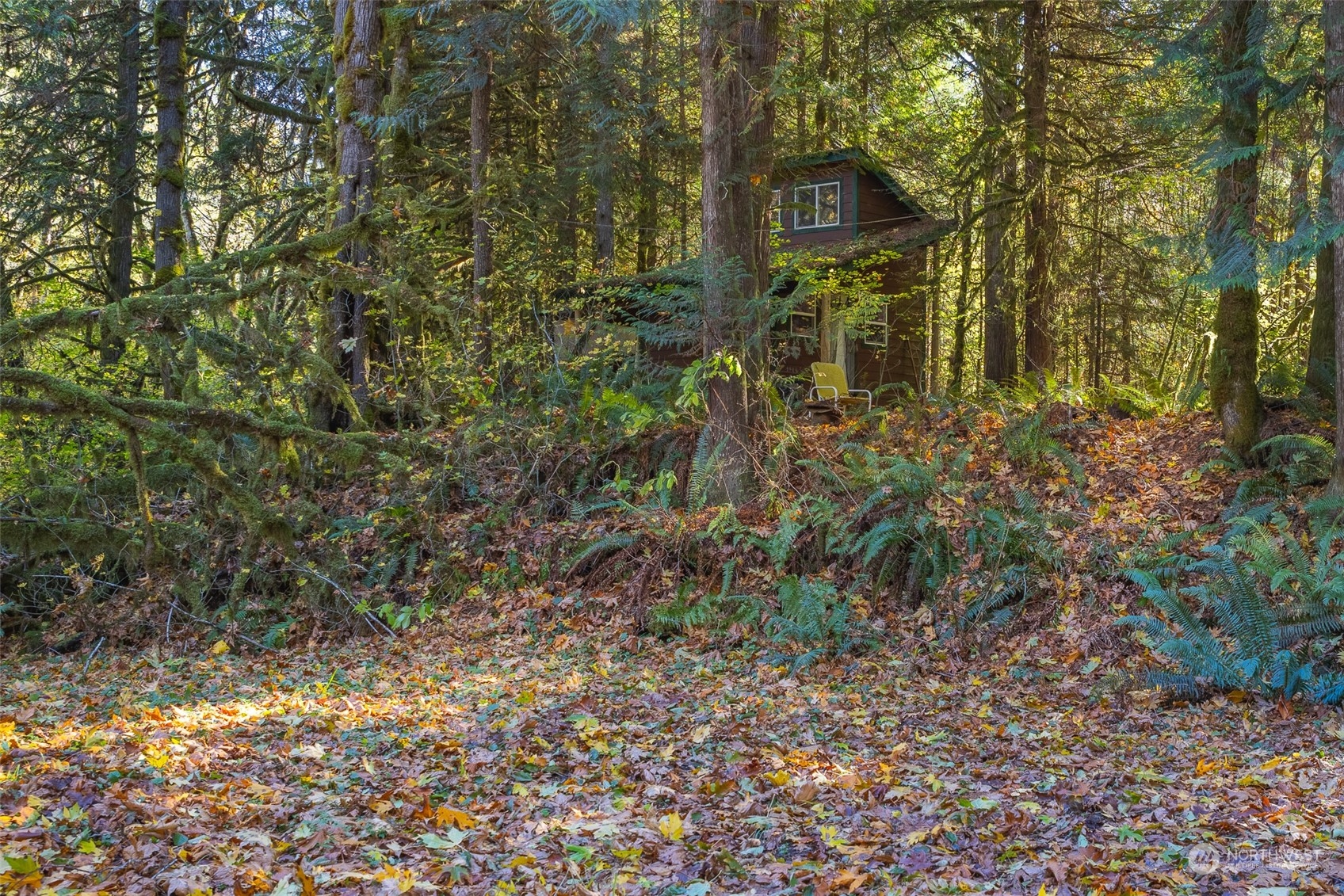 1395 Little Quil Road Quilcene, WA 98376 - Photo 28 of 39 a yellow building with trees in the background