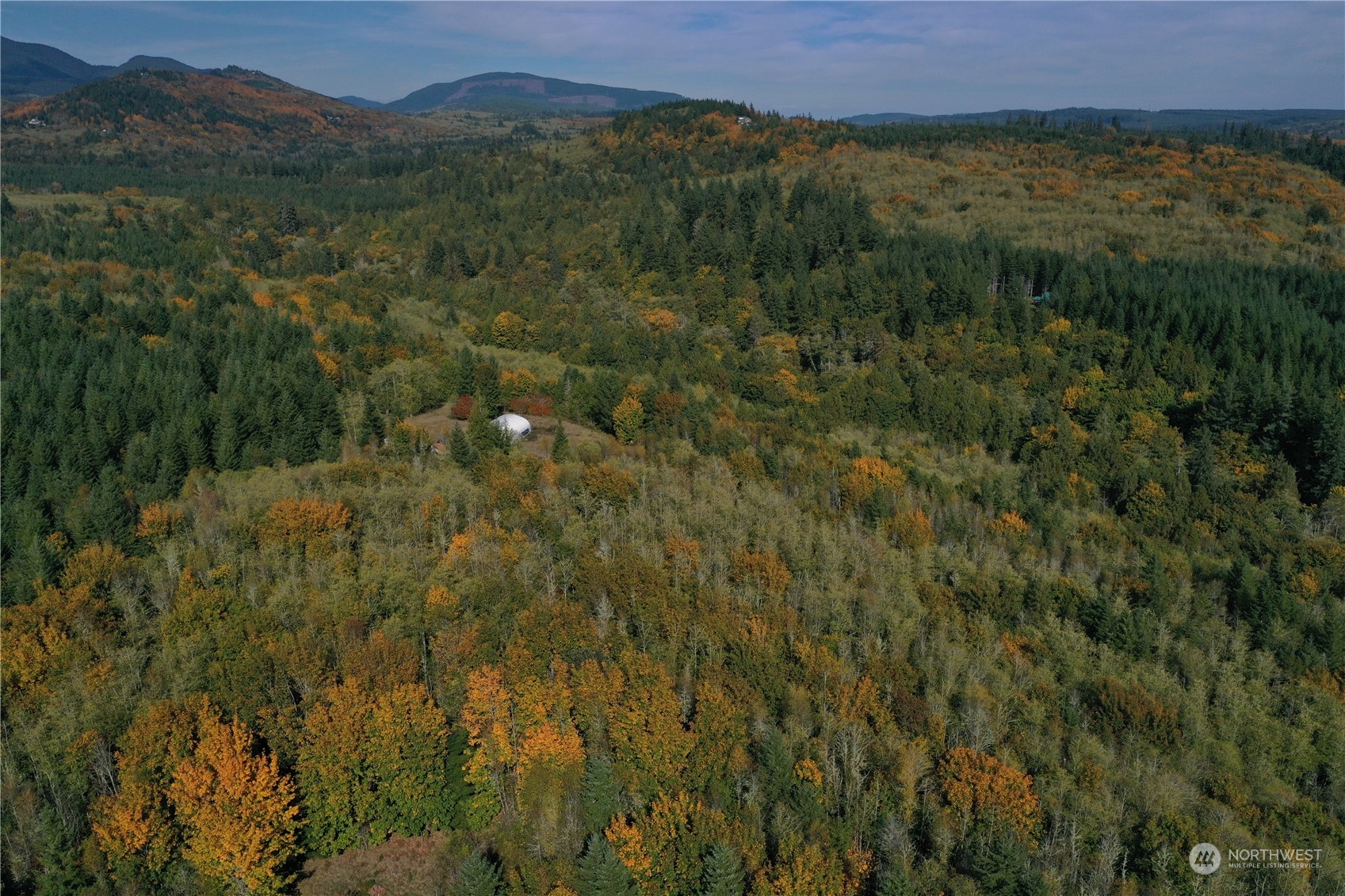 1395 Little Quil Road Quilcene, WA 98376 - Photo 3 of 39 a view of a lush green forest with a house