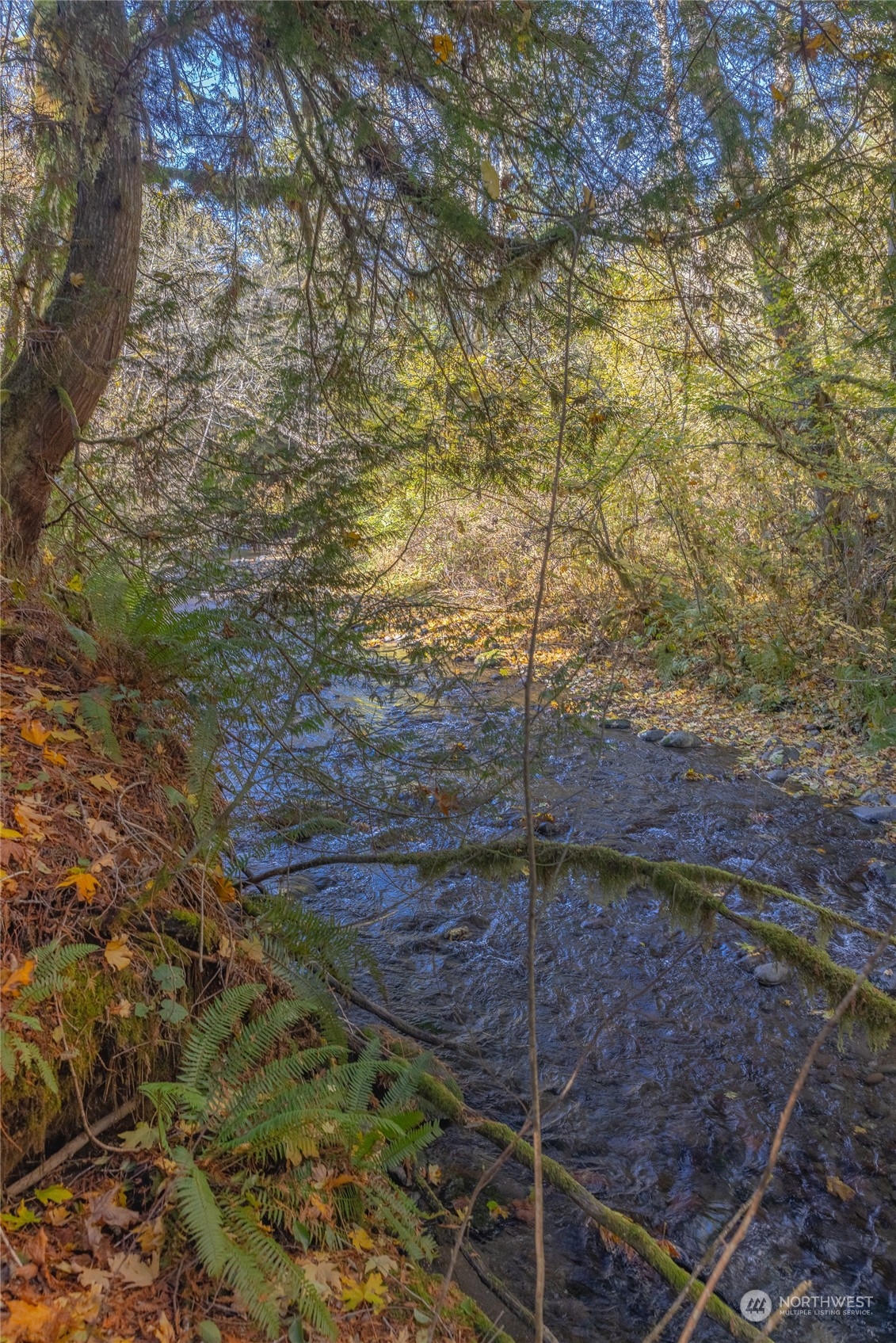 1395 Little Quil Road Quilcene, WA 98376 - Photo 32 of 39 a backyard of a house
