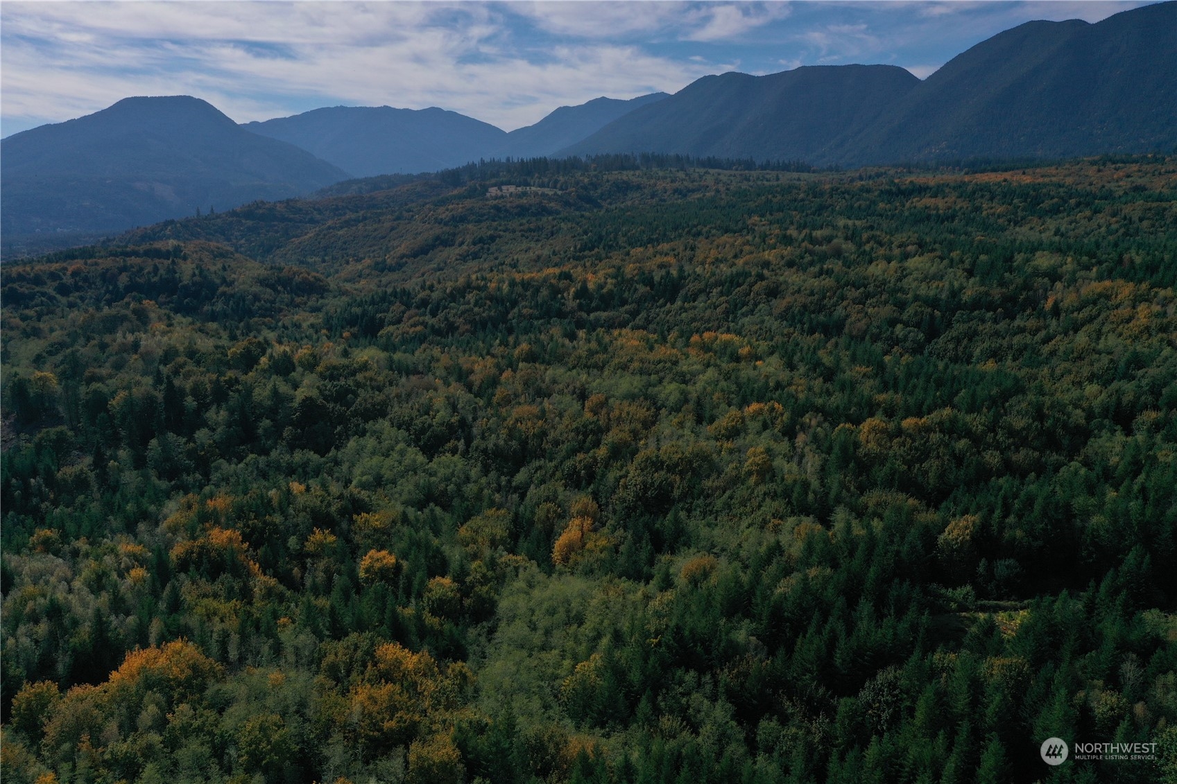 1395 Little Quil Road Quilcene, WA 98376 - Photo 35 of 39 a view of a lush green hillside and a mountain
