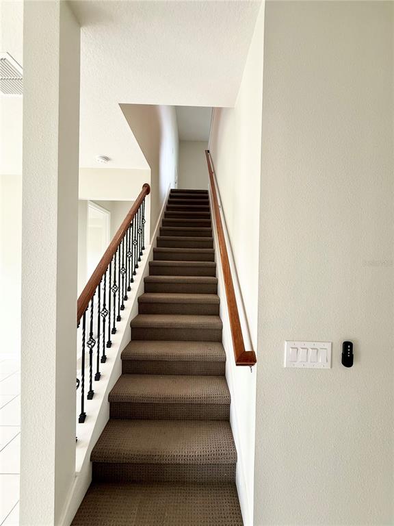 10843 Rolling Moss Road Tampa, FL 33647 - Photo 14 of 20