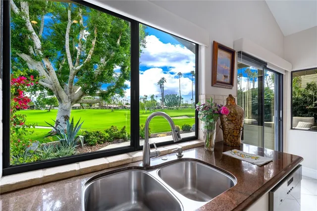 a view of a garden with plants and large trees