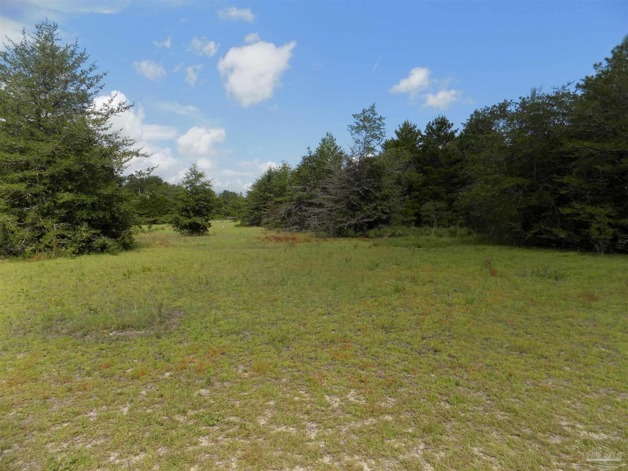 0 Douglas Drive Milton, FL 32583 - Photo 12 of 14