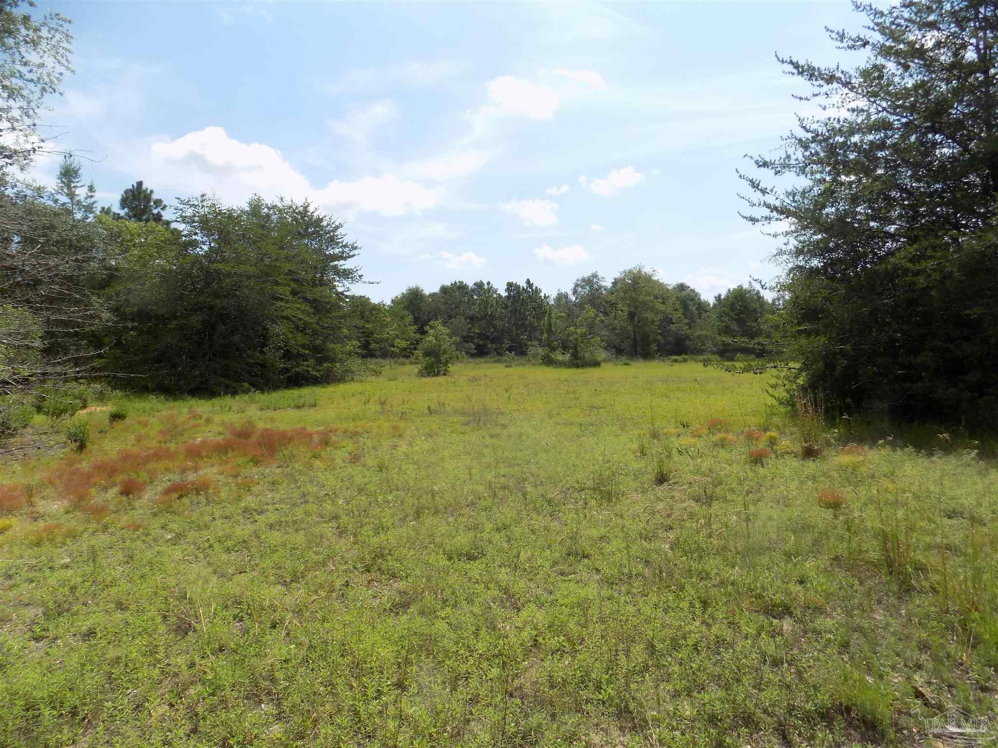 0 Douglas Drive Milton, FL 32583 - Photo 13 of 14