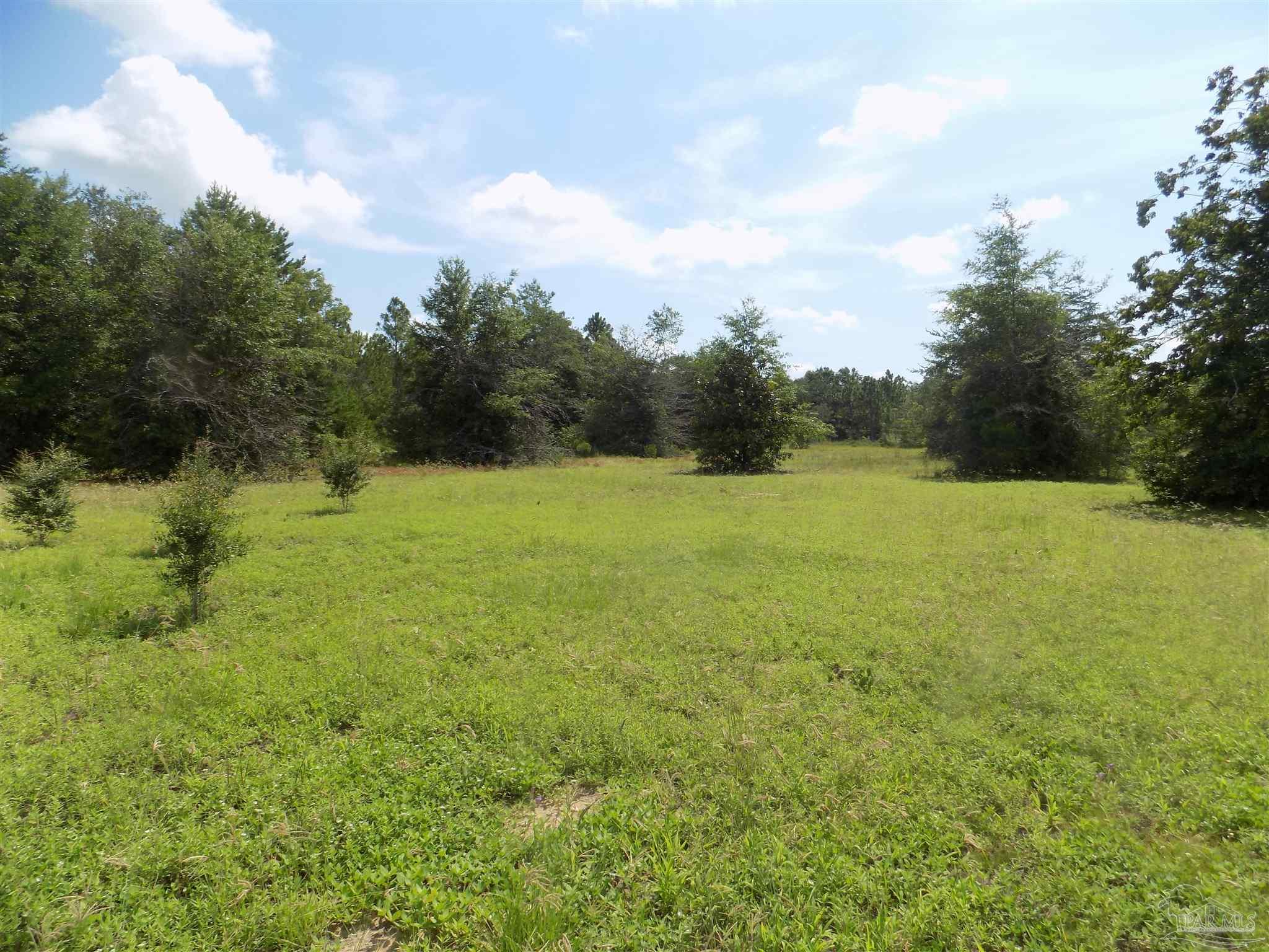 0 Douglas Drive Milton, FL 32583 - Photo 14 of 14