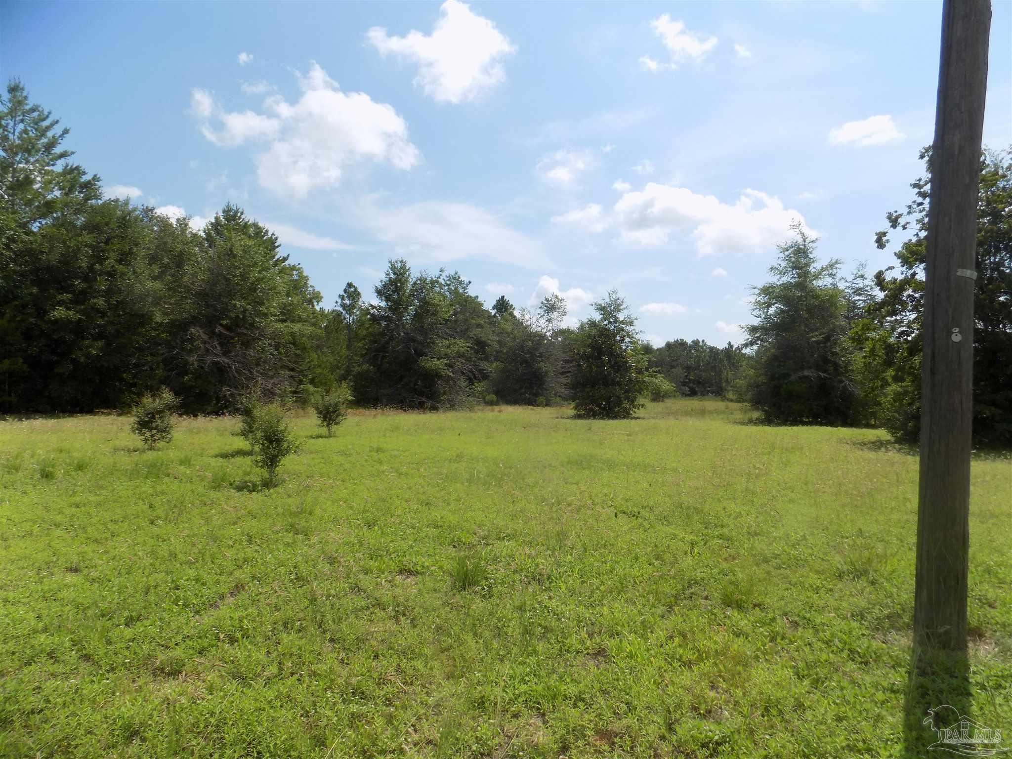 0 Douglas Drive Milton, FL 32583 - Photo 3 of 14