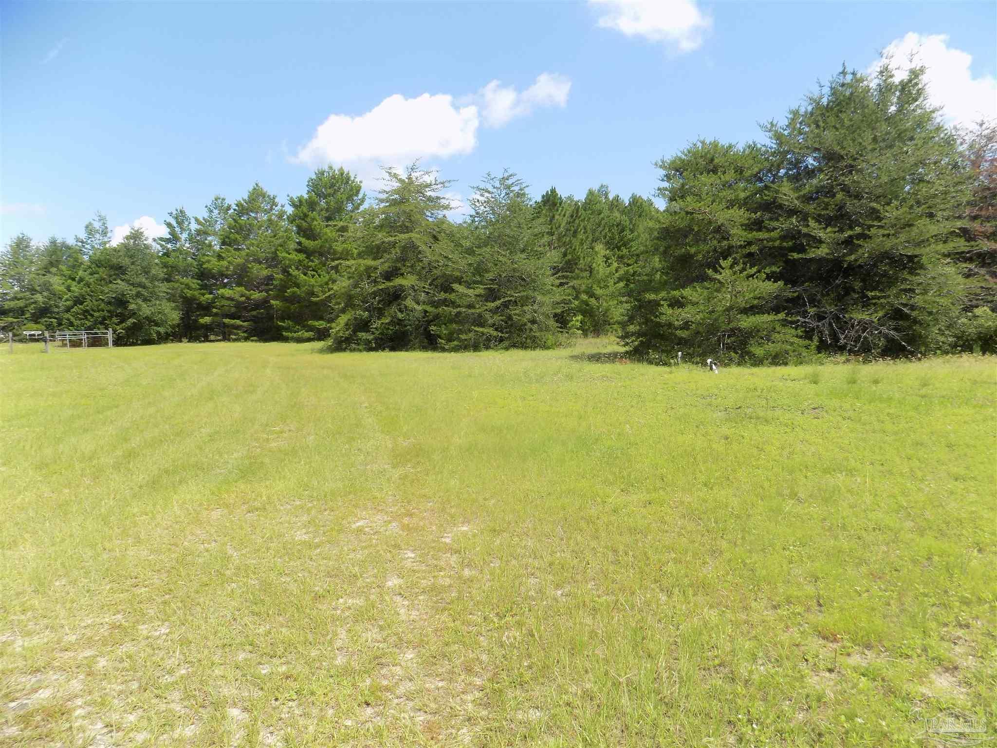 0 Douglas Drive Milton, FL 32583 - Photo 5 of 14