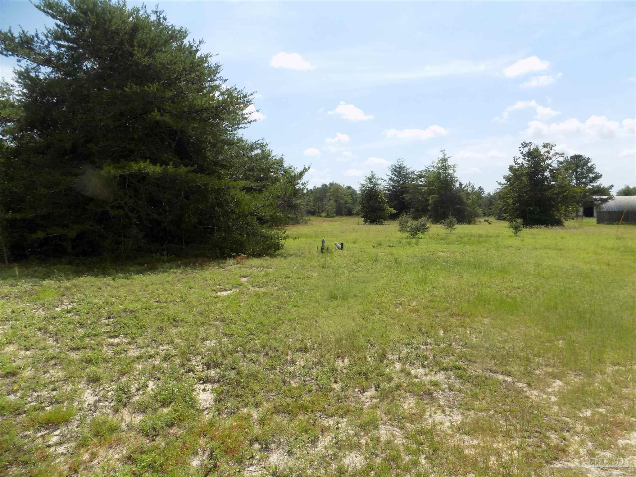 0 Douglas Drive Milton, FL 32583 - Photo 6 of 14