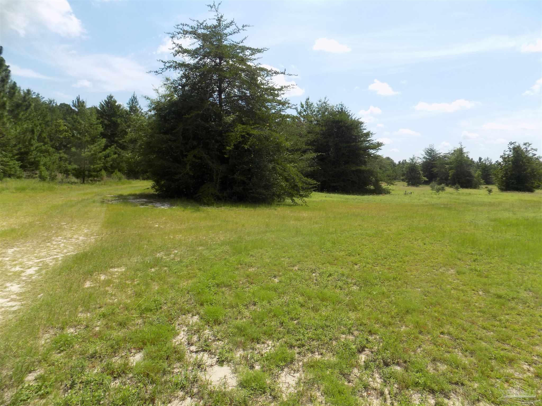 0 Douglas Drive Milton, FL 32583 - Photo 7 of 14