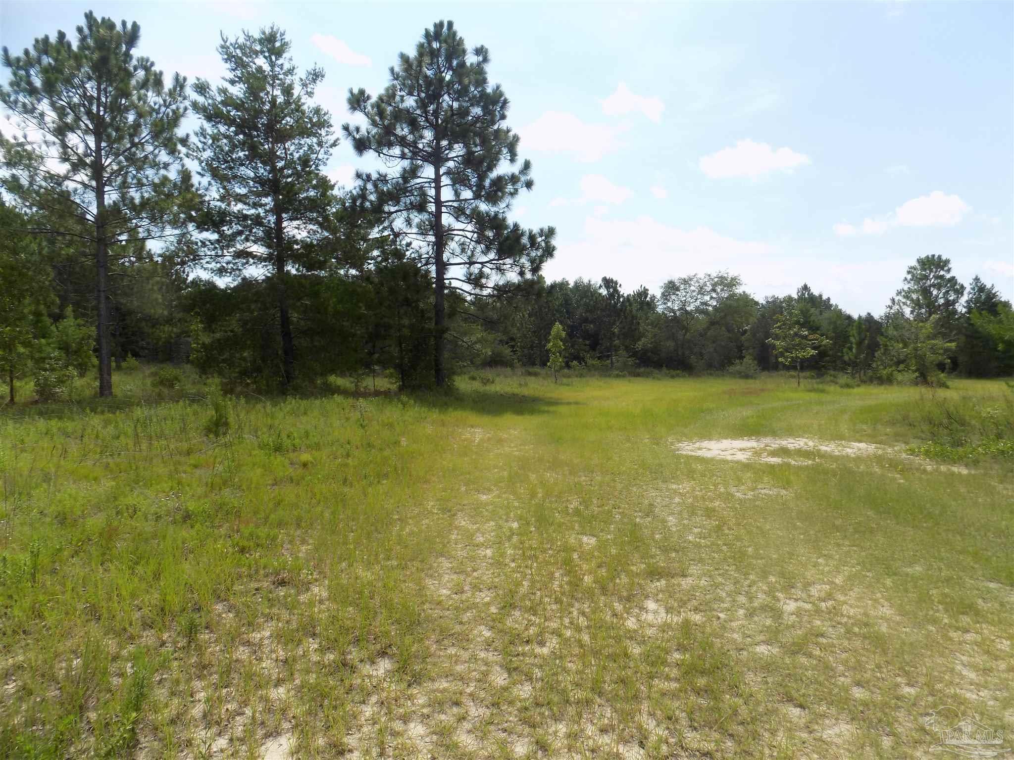 0 Douglas Drive Milton, FL 32583 - Photo 9 of 14