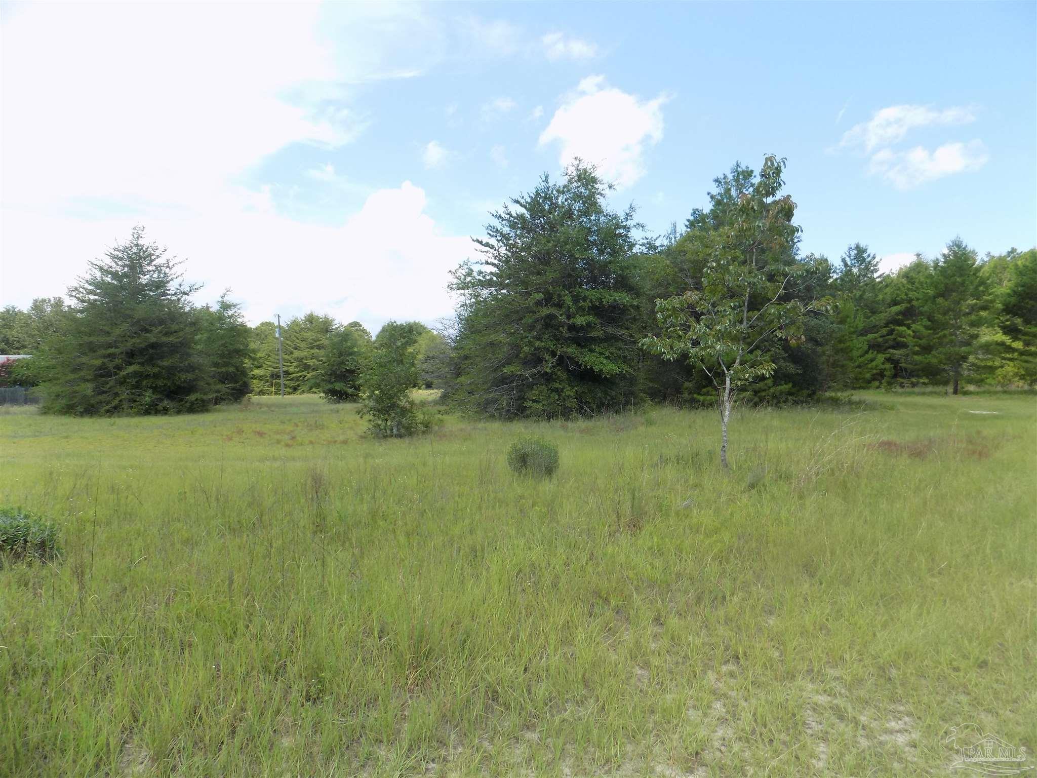 0 Douglas Drive Milton, FL 32583 - Photo 10 of 14