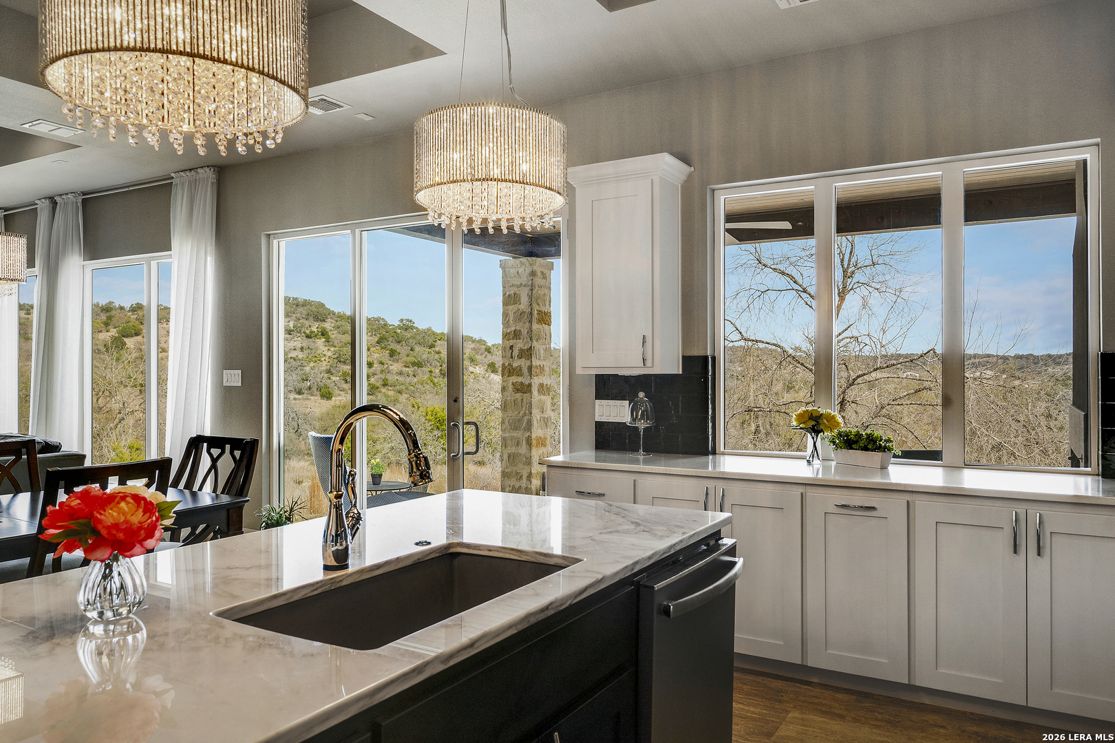 165 Antler Falls Run Comfort, TX 78013 - Photo 3 of 25