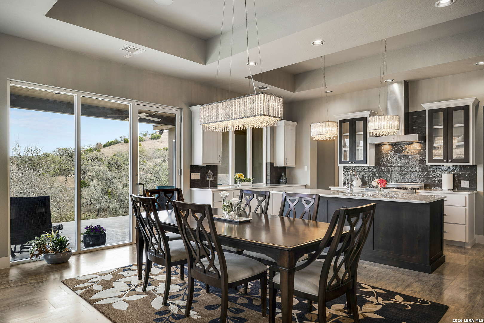 165 Antler Falls Run Comfort, TX 78013 - Photo 6 of 25