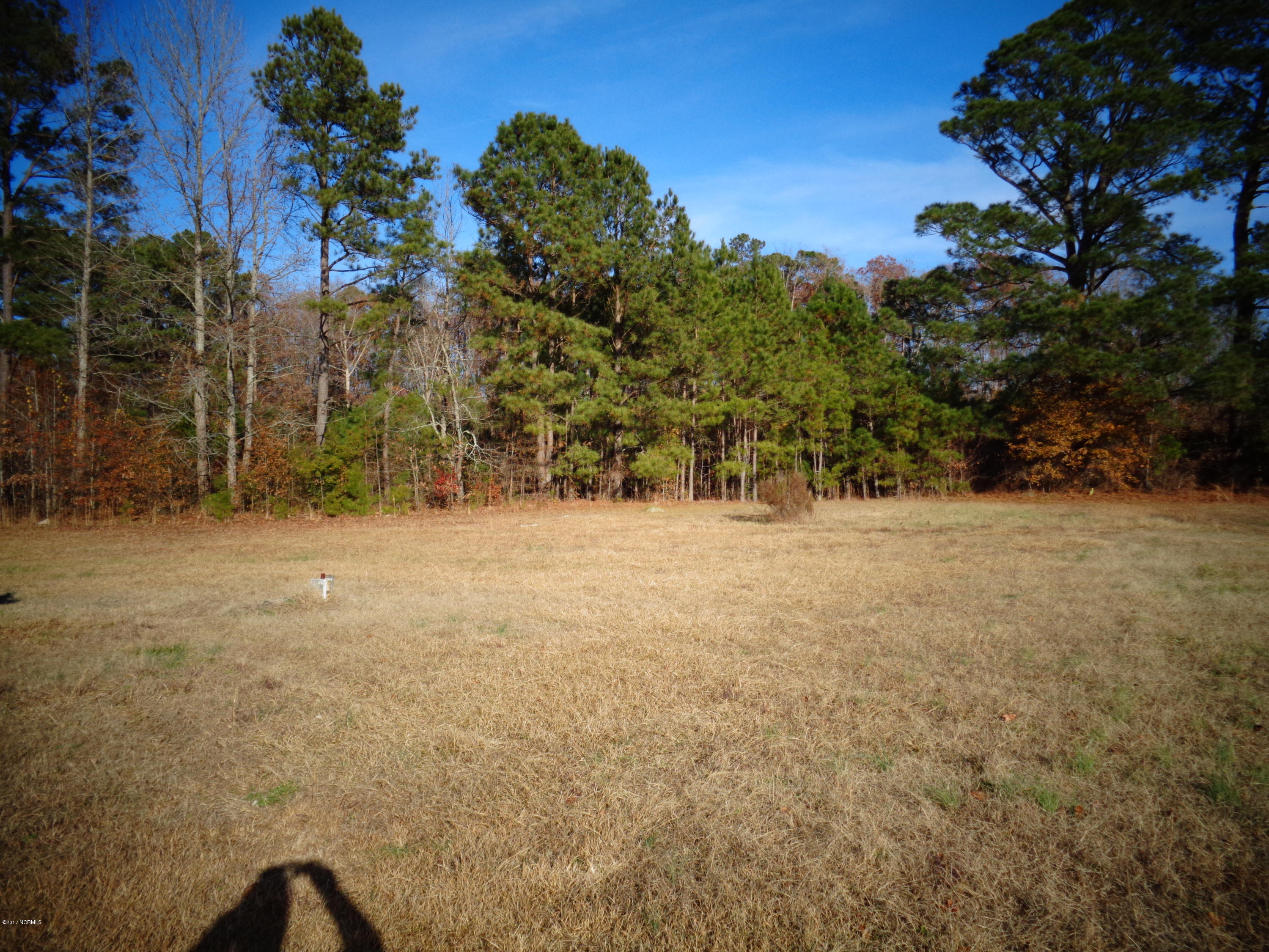 4935 Drake Road Battleboro, NC 27809 - Photo 3 of 19 DSC00448