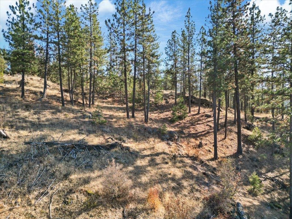 12616 East Chester Ridge Lane, Unit LOT 6 Spokane, WA 99206 - Photo 11 of 25