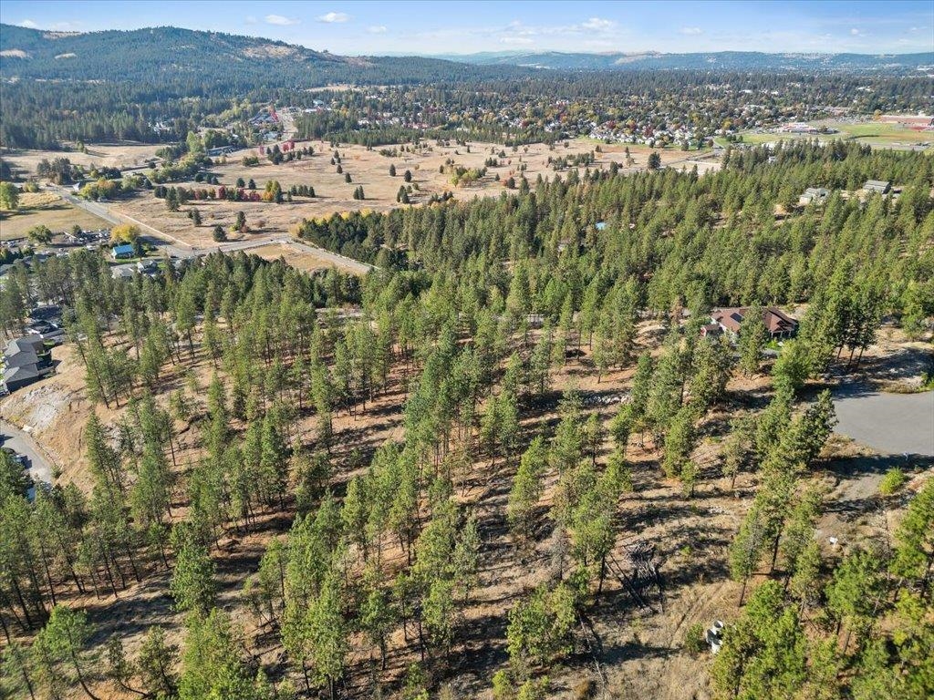 12616 East Chester Ridge Lane, Unit LOT 6 Spokane, WA 99206 - Photo 14 of 25