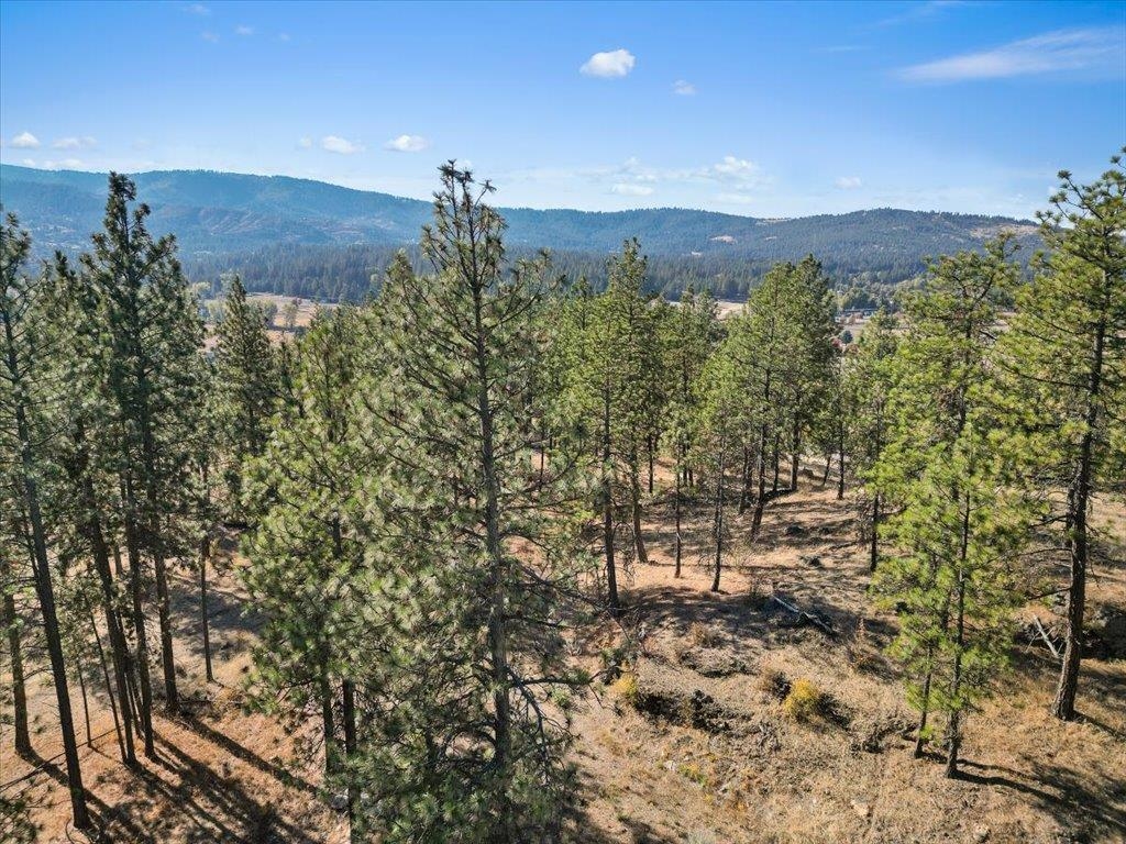 12616 East Chester Ridge Lane, Unit LOT 6 Spokane, WA 99206 - Photo 15 of 25