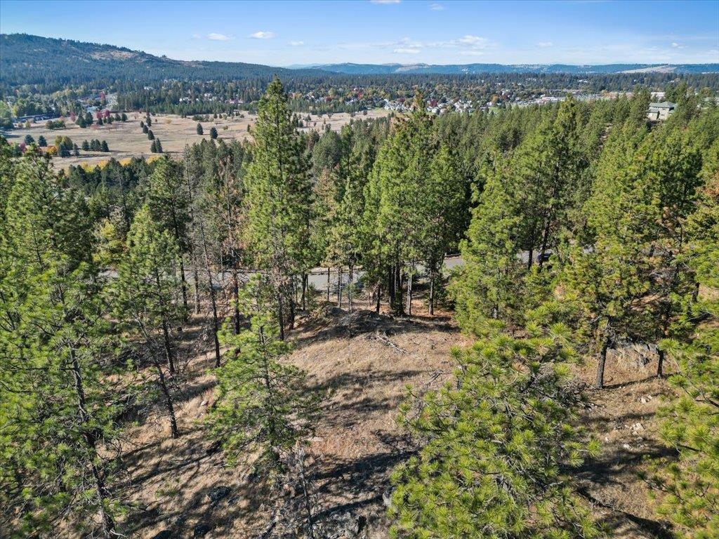 12616 East Chester Ridge Lane, Unit LOT 6 Spokane, WA 99206 - Photo 18 of 25