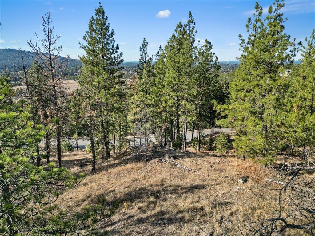 12616 East Chester Ridge Lane, Unit LOT 6 Spokane, WA 99206 - Photo 19 of 25